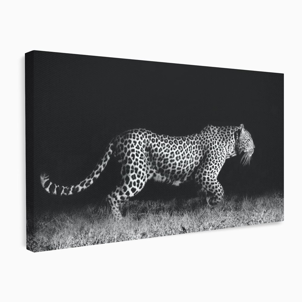 Tablou canvas cu tablou canvas cu jaguar nocturn, fara rama, pe sasiu de lemn